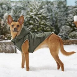 Frisco Mid-Heavyweight Portland Insulated Dog & Cat Parka -Pet Supplies Discount Store 160295 PT7. AC SS1800 V1567618265