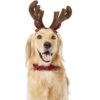 Frisco Holiday Antler Headband & Bell Collar Dog & Cat Costume 2 Frisco Holiday Antler Headband & Bell Collar Dog & Cat Costume -Pet Supplies Discount Store 160658 Main. AC SS1800 V1568818034