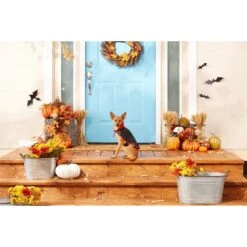 Frisco Vampire Cape Dog & Cat Costume 10 Frisco Vampire Cape Dog & Cat Costume -Pet Supplies Discount Store 160793 PT3. AC SS1800 V1567176564