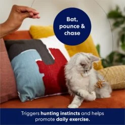 Frisco Cardboard & Wire Teaser Cat Toy 8 Frisco Cardboard & Wire Teaser Cat Toy -Pet Supplies Discount Store 161194 PT3. AC SS1800 V1686579092