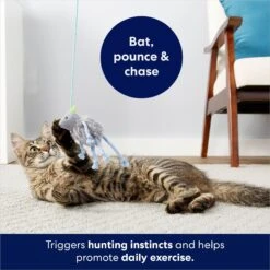 Frisco Bouncy Mouse Plush Teaser Cat Toy With Catnip 10 Frisco Bouncy Mouse Plush Teaser Cat Toy With Catnip -Pet Supplies Discount Store 161259 PT5. AC SS1800 V1686580155