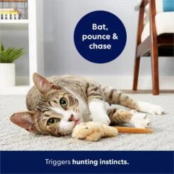 Frisco Skinny Mouse Plush Cat Toy With Catnip -Pet Supplies Discount Store 161268 PT5. AC SS1800 V1686578718