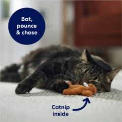 Frisco Squirrel Plush Cat Toy With Refillable Catnip -Pet Supplies Discount Store 161271 PT3. AC SS1800 V1678723897