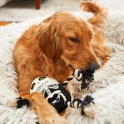 Frisco Halloween Skeleton Plush With Rope Squeaky Dog Toy 9 Frisco Halloween Skeleton Plush With Rope Squeaky Dog Toy -Pet Supplies Discount Store 161358 PT6. AC SS1800 V1597599370