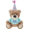 Frisco Birthday Bear Plush Squeaky Dog Toy -Pet Supplies Discount Store 162836 Main. AC SS1800 V1565379440