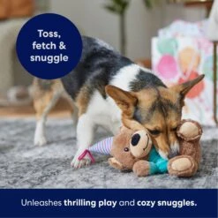 Frisco Birthday Bear Plush Squeaky Dog Toy -Pet Supplies Discount Store 162836 PT4. AC SS1800 V1695670999