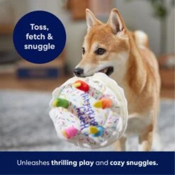 Frisco Birthday Cake Plush Squeaky Dog Toy -Pet Supplies Discount Store 162839 PT4. AC SS1800 V1695671061