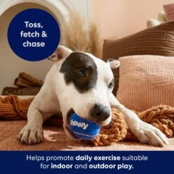 Frisco Chewy Fetch Squeaky Tennis Ball Dog Toy 12 Frisco Chewy Fetch Squeaky Tennis Ball Dog Toy -Pet Supplies Discount Store 164314 PT5. AC SS1800 V1691783910