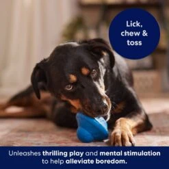 Frisco Flying Saucer Rubber Treat Dispenser Dog Toy -Pet Supplies Discount Store 164757 PT5. AC SS1800 V1691784247