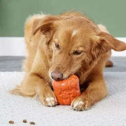 Frisco Halloween Pumpkin Rubber Treat Dispenser Dog Toy, Medium/Large -Pet Supplies Discount Store 164763 PT5. AC SS1800 V1689876672