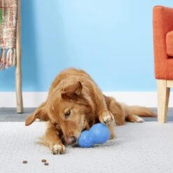 Frisco Snowman Rubber Treat Dispenser Dog Toy -Pet Supplies Discount Store 164769 PT4. AC SS1800 V1563808954