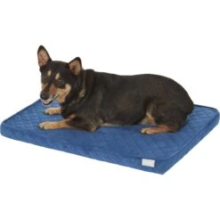Frisco Quilted Orthopedic Pillow Cat & Dog Bed W/Removable Cover -Pet Supplies Discount Store 165196 PT2. AC SS1800 V1568726226