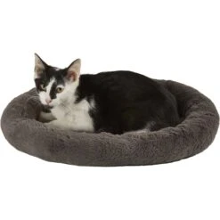 Frisco Self Warming Bolster Round Kitten Bed -Pet Supplies Discount Store 165315 PT2. AC SS1800 V1568211141