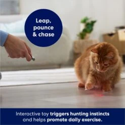 Frisco 2-in-1 Laser & LED Light Laser Cat Toy -Pet Supplies Discount Store 166309 PT3. AC SS1800 V1686579688