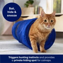 Frisco Foldable Play Tunnel With Mesh Cat Toy 8 Frisco Foldable Play Tunnel With Mesh Cat Toy -Pet Supplies Discount Store 166385 PT2. AC SS1800 V1686580143