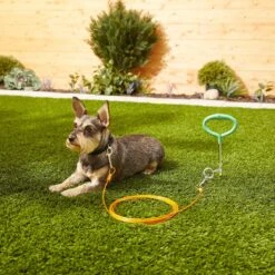 Frisco Tie Out Cable, Medium 5 Frisco Tie Out Cable, Medium -Pet Supplies Discount Store 166389 PT2. AC SS1800 V1573676616