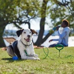 Frisco Easy Grip Stake With Tie Out Cable, Large -Pet Supplies Discount Store 166447 PT5. AC SS1800 V1701796826