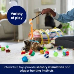 Frisco Plush, Teaser, Ball & Tunnel Variety Pack Cat Toy With Catnip 12 Frisco Plush, Teaser, Ball & Tunnel Variety Pack Cat Toy With Catnip -Pet Supplies Discount Store 169688 PT5. AC SS1800 V1691784246