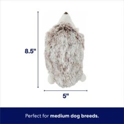 Frisco Hedgehog Plush Squeaky Dog Toy -Pet Supplies Discount Store 174678 PT1. AC SS1800 V1695671000