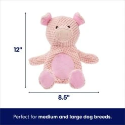 Frisco Pig Textured Plush Squeaky Dog Toy 9 Frisco Pig Textured Plush Squeaky Dog Toy -Pet Supplies Discount Store 174695 PT1. AC SS1800 V1695670747