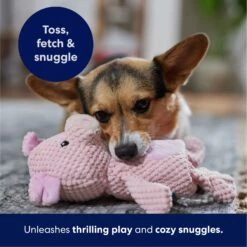 Frisco Pig Textured Plush Squeaky Dog Toy 12 Frisco Pig Textured Plush Squeaky Dog Toy -Pet Supplies Discount Store 174695 PT4. AC SS1800 V1695670689
