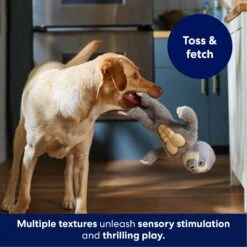 Frisco Sloth Muscle Plush Squeaky Dog Toy -Pet Supplies Discount Store 174715 PT4. AC SS1800 V1695670689