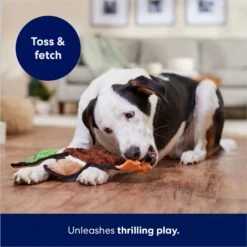 Frisco Mallard Stuffing-Free Flat Plush Squeaky Dog Toy -Pet Supplies Discount Store 174731 PT5. AC SS1800 V1686579082