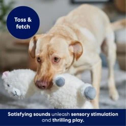 Frisco Llama Bobberz Plush Squeaky Dog Toy -Pet Supplies Discount Store 174741 PT4. AC SS1800 V1695671063