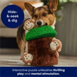 Frisco Monkeys In Tree Hide & Seek Puzzle Plush Squeaky Dog Toy -Pet Supplies Discount Store 174759 PT5. AC SS1800 V1702598595