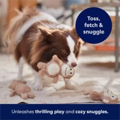 Frisco Monkeys In Tree Hide & Seek Puzzle Plush Squeaky Dog Toy Refills 10 Frisco Monkeys In Tree Hide & Seek Puzzle Plush Squeaky Dog Toy Refills -Pet Supplies Discount Store 174768 PT5. AC SS1800 V1691784249