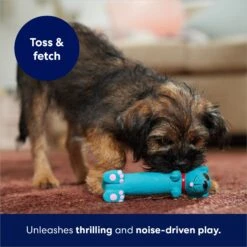 Frisco Latex Squeaky Puppy Toy -Pet Supplies Discount Store 174775 PT5. AC SS1800 V1691784247