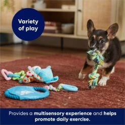 Frisco Little Friends Plush, Flyer & TPR Variety Pack Dog Toy -Pet Supplies Discount Store 177816 PT5. AC SS1800 V1691783909
