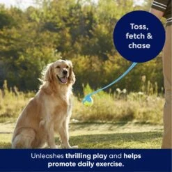 Frisco Ball Launcher & Fetch Squeaky Tennis Ball Dog Toy -Pet Supplies Discount Store 178477 PT3. AC SS1800 V1695241970