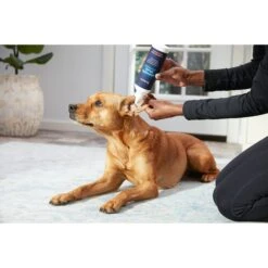 Frisco Anti-Bacterial And Anti-Fungal Ear Flush Cleaner For Cats & Dogs, 12-oz Bottle -Pet Supplies Discount Store 178705 PT3. AC SS1800 V1582124328