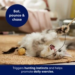 Frisco Sparkle Ball Teaser Wand Cat Toy With Catnip -Pet Supplies Discount Store 183254 PT3. AC SS1800 V1695241915