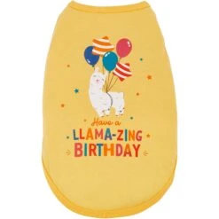 Frisco Llama-zing Birthday Dog & Cat T-Shirt -Pet Supplies Discount Store 191240 PT2. AC SS1800 V1582053523