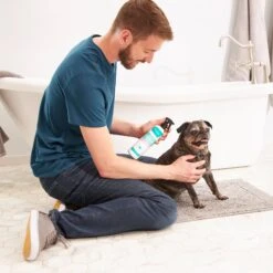 Frisco Aloe Hydrating Dog & Cat Spray, Sweet Nectar Scent -Pet Supplies Discount Store 192084 PT3. AC SS1800 V1585321073