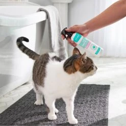 Frisco Aloe Hydrating Dog & Cat Spray, Sweet Nectar Scent -Pet Supplies Discount Store 192084 PT4. AC SS1800 V1589487682