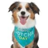 Frisco Happy Gotcha Day Dog & Cat Bandana 1 Frisco Happy Gotcha Day Dog & Cat Bandana -Pet Supplies Discount Store 200538 MAIN. AC SS1800 V1633085812