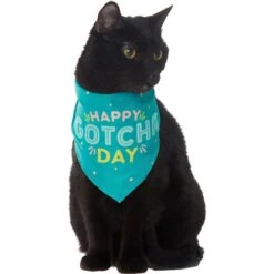 Frisco Happy Gotcha Day Dog & Cat Bandana 10 Frisco Happy Gotcha Day Dog & Cat Bandana -Pet Supplies Discount Store 200538 PT2. AC SS1800 V1633057623