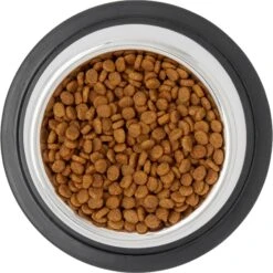 Frisco Stainless Steel Taper Non-Skid Cat Bowl -Pet Supplies Discount Store 204467 PT4. AC SS1800 V1599240133