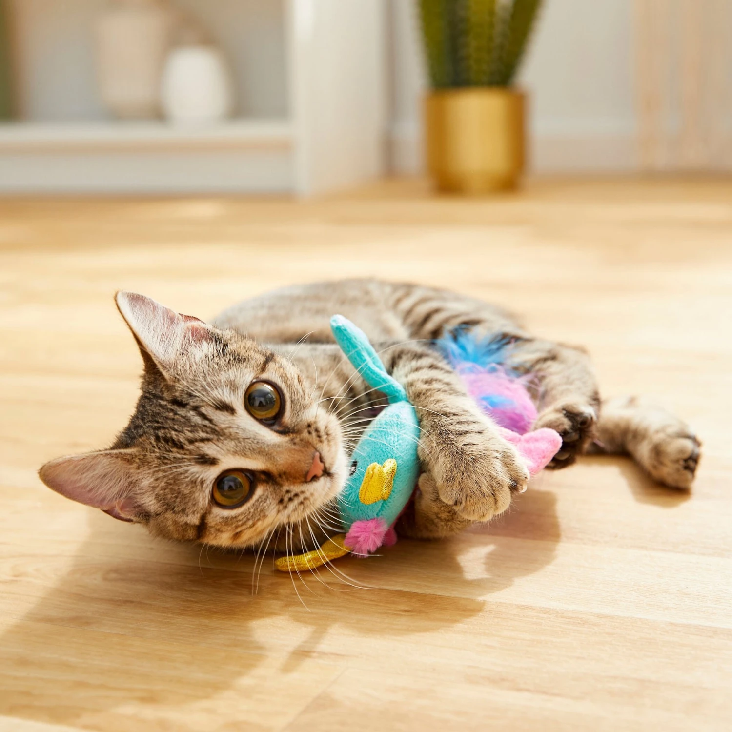 Frisco Dragon Plush Cat Toy With Catnip 4 Frisco Dragon Plush Cat Toy With Catnip - Image 2