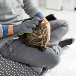 Frisco Dog & Cat Grooming Glove, Right Hand 15 Frisco Dog & Cat Grooming Glove, Right Hand -Pet Supplies Discount Store 206845 PT6. AC SS1800 V1610762805