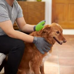 Frisco Dog & Cat Adjustable Grooming Gloves -Pet Supplies Discount Store 206847 PT5. AC SS1800 V1610763673