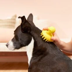 Frisco Rubber Duckie Dog & Cat Curry Brush -Pet Supplies Discount Store 206849 PT4. AC SS1800 V1680186100