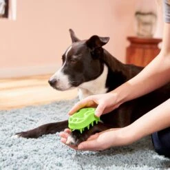 Frisco Bone Dog Curry Brush -Pet Supplies Discount Store 206851 PT4. AC SS1800 V1680186155