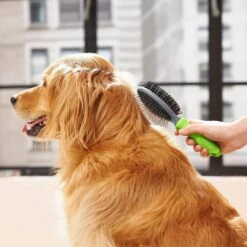 Frisco Cat & Dog Pin Bristle Brush 12 Frisco Cat & Dog Pin Bristle Brush -Pet Supplies Discount Store 206855 PT6. AC SS1800 V1680186157