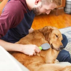 Frisco Cat & Dog Pin Brush -Pet Supplies Discount Store 206861 PT6. AC SS1800 V1680186099