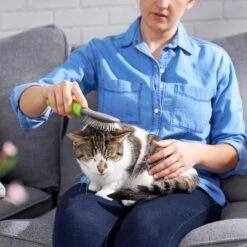 Frisco Cat & Dog Pin Brush -Pet Supplies Discount Store 206861 PT7. AC SS1800 V1680186386