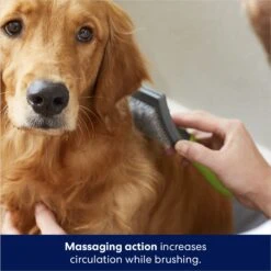 Frisco Self-Cleaning Slicker Dog Brush 12 Frisco Self-Cleaning Slicker Dog Brush -Pet Supplies Discount Store 206863 PT5. AC SS1800 V1680186156